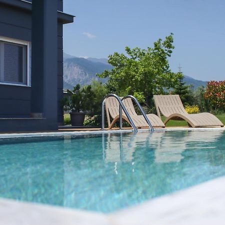 Zeusplace Pool Villa Olympus Riviera Litóchoron Dış mekan fotoğraf